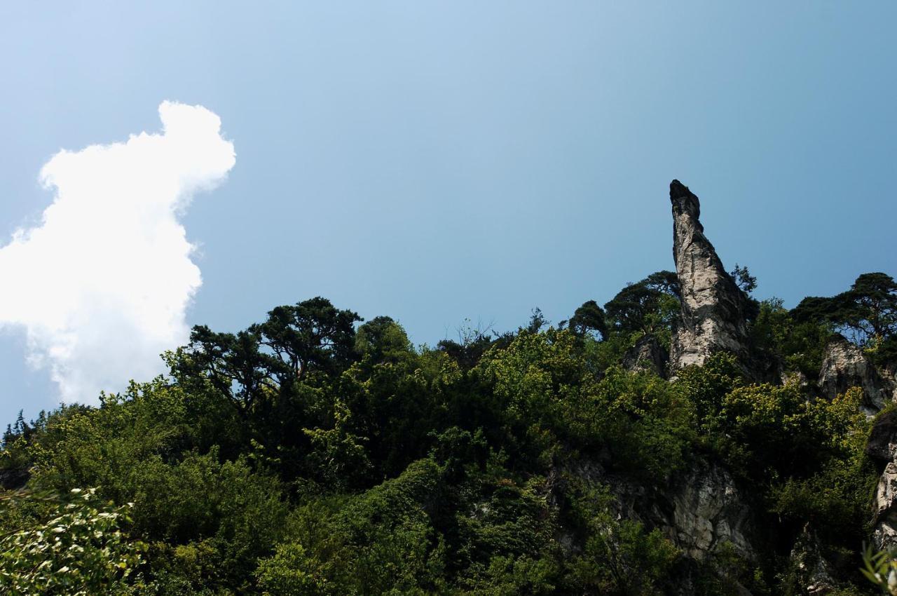 Gasthof Bad Sonnenberg 努齐德斯 外观 照片